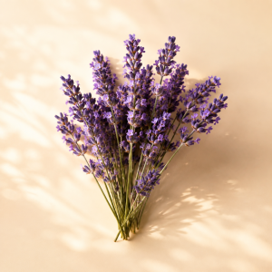 Lavender Oil